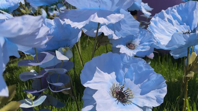 Mountain, Tree and Nemophila (baby blue eyes flowers) field, blue flower carpet
