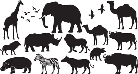Fototapeta premium Black silhouettes of various wild animals on white background giraffe elephant