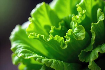 Vibrant green lettuce leaves, crisp and freshly picked, glistening with dew Perfect for healthy eating and culinary applications Close-up shot emphasizing texture and freshness , diet, closeup
