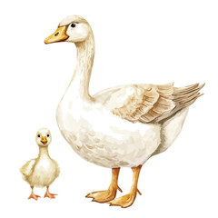 A Mother Goose With Her Kid, charming watercolor vector with soft tones and graceful design, isolated on a white background. © soltrex