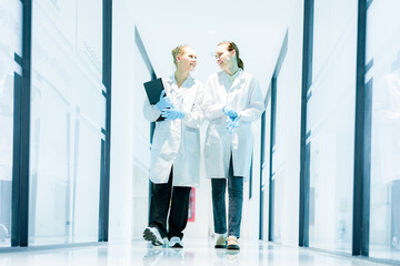 Fototapeta premium Happy medical team walking in hospital corridor discussing patient data. Female doctors with clipboard preparing for ward round in modern white clinic hallway.