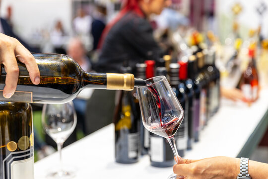 Wine tasting at winery or food and drink exhibition, sommelier pouring red wine for guests, showcasing viticulture, hospitality, gourmet experience, and beverage industry culture