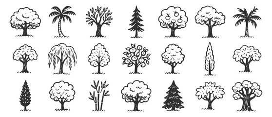 Collection of diverse hand drawn trees in doodle style, isolated on white background, nature elements for design and decoration, graphic resources © Baizid