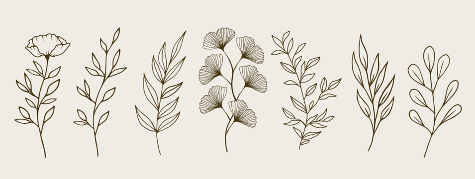 Vector hand-drawn set of branches and flowers line art. Design for wall art, greeting cards, posters, stickers, package, logo, herbal tea and cosmetics.