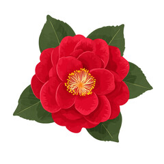 2D minimalist flat vector of a Camellia Flower, contemporary clean design isolated on white. © MiniVex