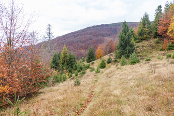  Autumn Landscape of Borzhava Valley, Ukrainian Carpathians