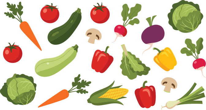Garden vegetable flat vector elements. Fresh farm produce icons with cabbage carrot tomato pepper mushroom and corn. Simple colorful illustrations for recipes, market posters and organic food design.