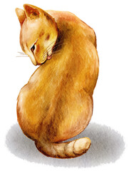 Brown cat watercolor on a white background