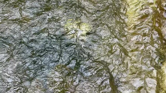 the exuberance of natural waters flowing after rainfall
