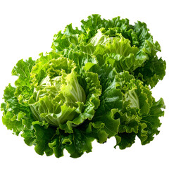A vibrant, fresh head of lettuce, with ruffled leaves, set against a dark backdrop