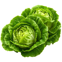 Two heads of fresh, leafy green cabbage, vibrant in detail, isolated on black