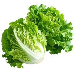 Two leafy heads of pale and vibrant green lettuce against a transparent background