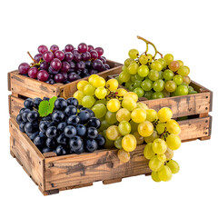 Wooden crates filled with ripe grapes in shades of green, purple, and black