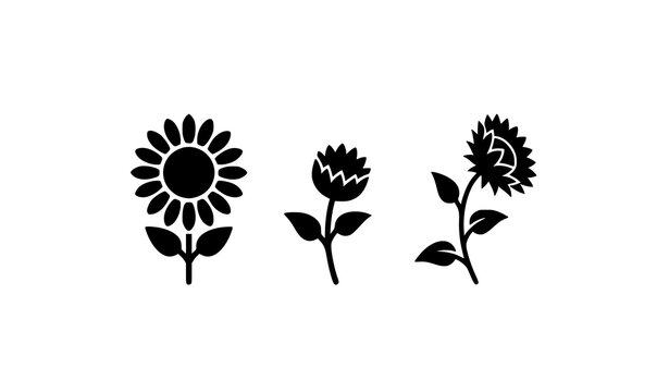 Sunflower silhouette icon set with bloom and bud variations flat vector collection isolated on white