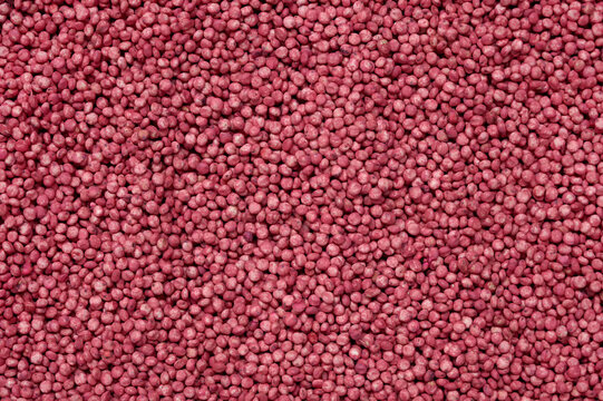 A close-up of sorghum grain. Protection of passives and crops from harmful effects.