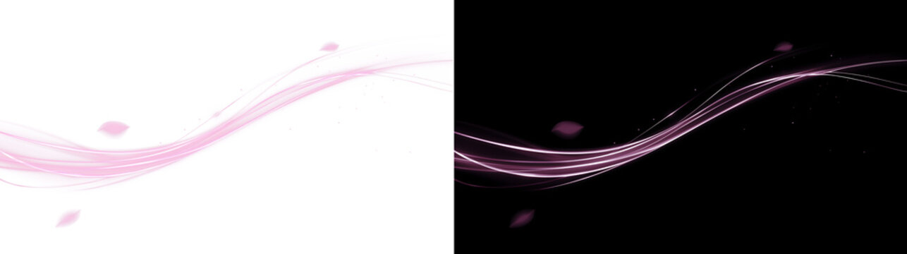 Pink Neon Light Trail Swoosh with Sakura Petals on Black Background