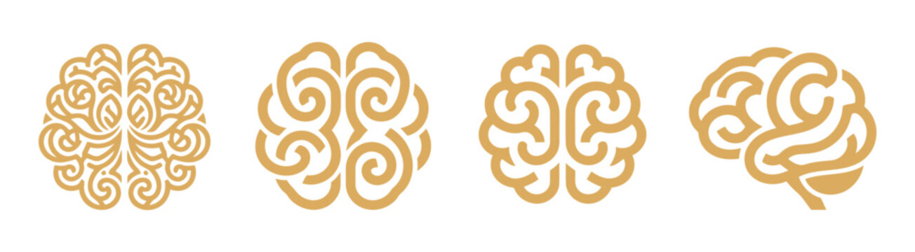 Human brain icon set flat style. vector illustration on transparent background 