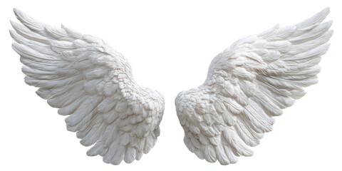 Fototapeta premium Pair of detailed white angel wings