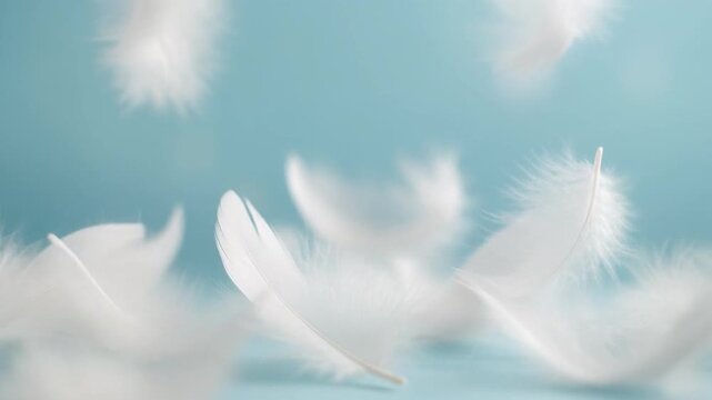 White feathers floating in the air against a light blue background