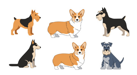 Naklejka premium Collection of six different dog breed illustrations including corgis and schnauzers in various standing and sitting poses.