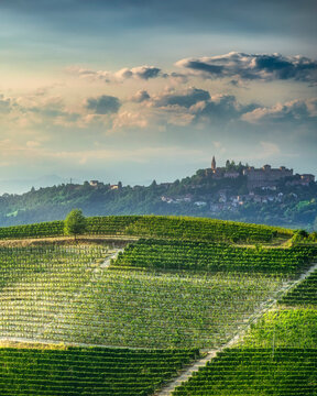 Langhe Vineyards near Neive with Guarene Village, Italy
