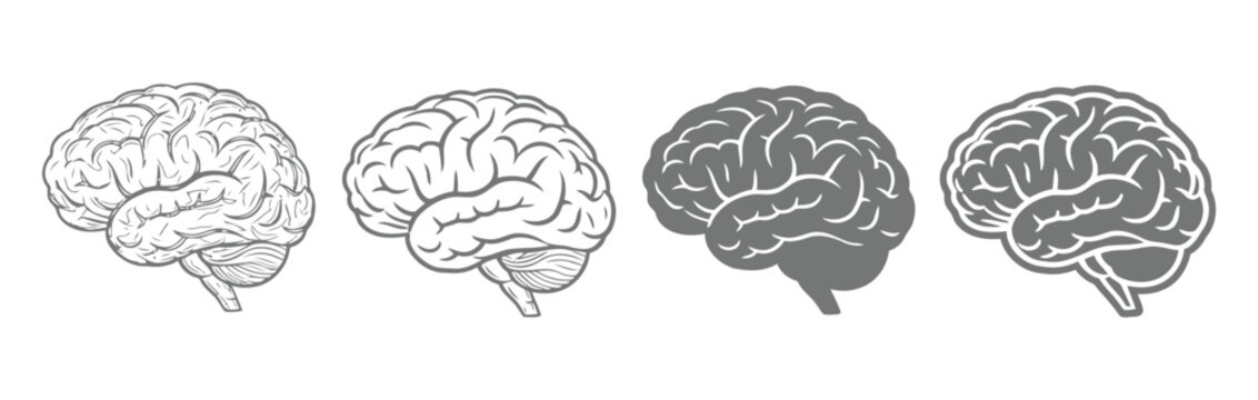 Brain or mind side view flat vector icon set