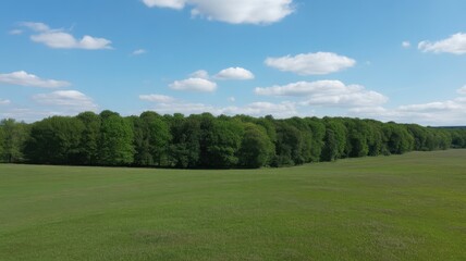 Fototapeta premium Wide angle view of a green grassy field and a dense line of trees under a bright blue sky with fluffy white clouds.