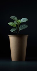 A vibrant leafy green plant grows in a brown paper cup against a dark background