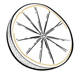 A detailed line drawing of a citrus fruit slice, cut in half, with inner segments