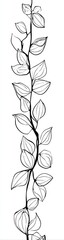 A vertical sketch of a plant stem with oval leaves drawn in black and white