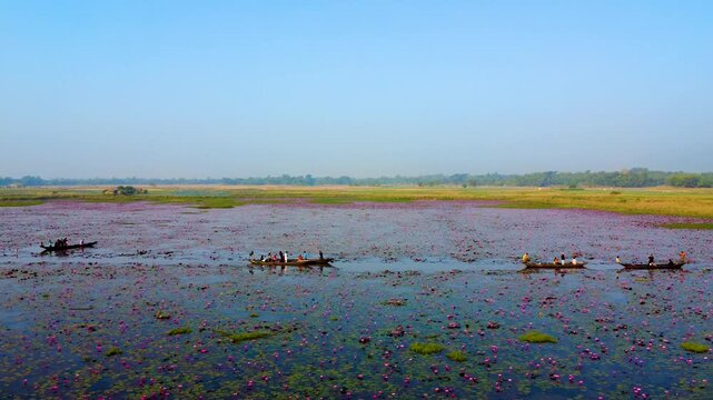 Drone view of a row of boats on the Dibir Lake (Kingdom of Shapla) a beautiful and famous tourist spot located at the foot of the Meghalaya hills in Jaintapur, Sylhet, near the Bangladesh-India border