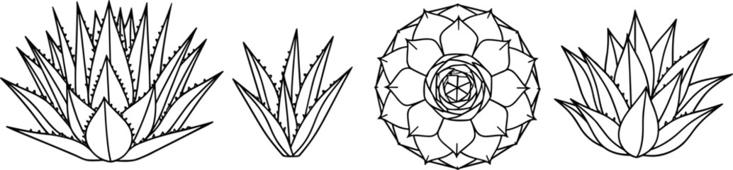 Minimalist black line vector illustrations of assorted cactus and succulent plants for botanical design।