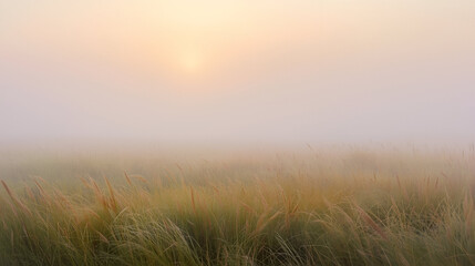 Fototapeta premium Misty Sunrise Over Tall Grass Field in Soft Pastel Colors