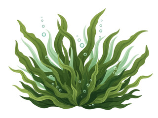 Illustration of Green Seaweed with Bubbles. © Afif