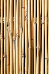 Naklejka premium New bamboo wall from vetical sticks closeup