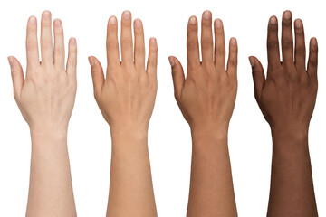 Standing Tall: Diverse Hands, Strength, and Solidarity