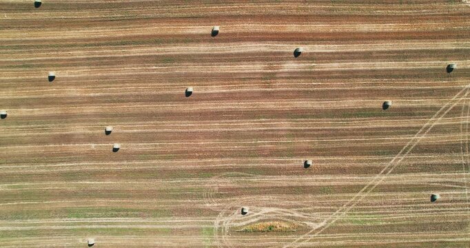 view of hay bales on the field after harvest, aerial view
