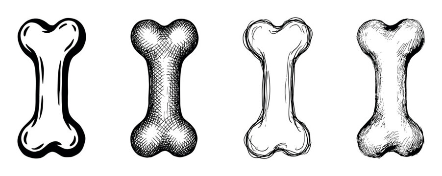 Set of four hand-drawn bones in different sketch styles, including cross-hatching and bold outlines, showcasing a collection of monochrome anatomical or dog treat illustrations