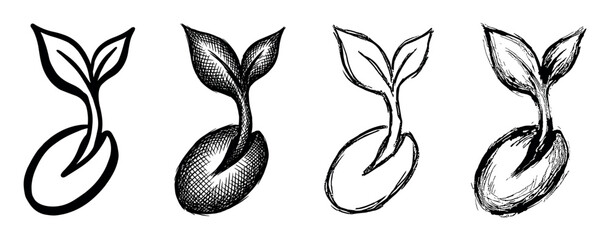Obraz premium Set of four hand-drawn sprouting seed icons in various sketch styles, including clean line art and cross-hatching, symbolizing growth, new life, and nature's beginnings