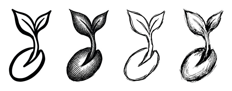 Set of four hand-drawn sprouting seed icons in various sketch styles, including clean line art and cross-hatching, symbolizing growth, new life, and nature's beginnings