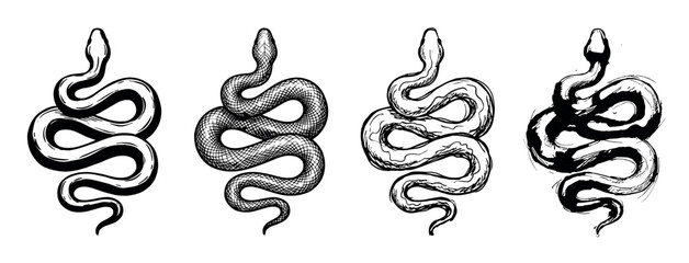 Obraz premium Four black and white hand drawn snakes in different artistic styles, including engraving, sketch, and brushstroke, showing a coiled serpent in a graphic illustration set