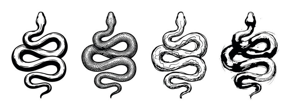 Four black and white hand drawn snakes in different artistic styles, including engraving, sketch, and brushstroke, showing a coiled serpent in a graphic illustration set