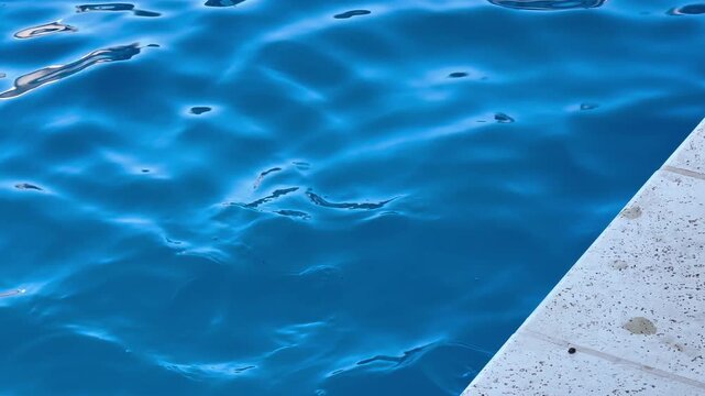 High angle view of a pool skimmer net removing a dry floating leaf from the deep blue water surface. Concept of pool maintenance, cleaning, hygiene. 4k 60fps, High frame rate