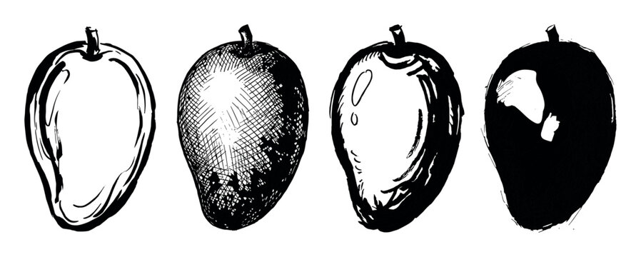 Four hand-drawn mango fruit illustrations in different artistic styles, including outline, crosshatching, brush stroke, and silhouette, creating a graphic set of tropical fruit icons