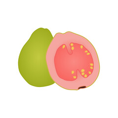guava vector
