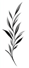 Simple, elegant, grayscale illustration of a slender plant branch with elongated leaves