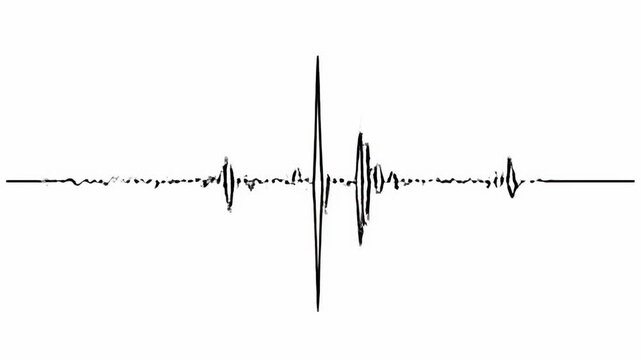 Audio waveform visualizations - Dynamic sound wave patterns on a white background.