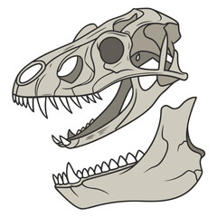 Realistic archaeology of jaw fossils laid skull dinosaur © ni