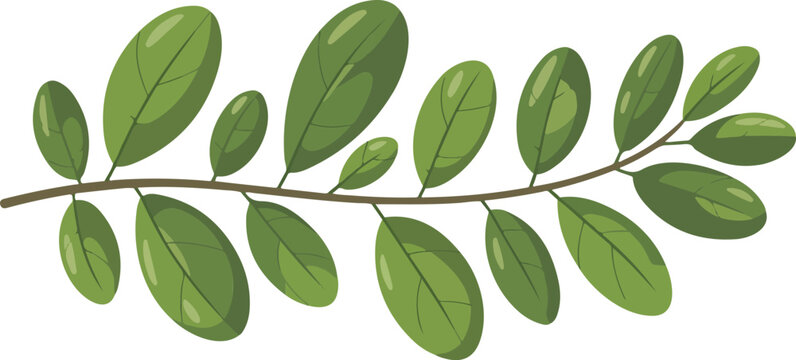 Green Leafy Branch Vector Illustration  Hand-Drawn Botanical Foliage