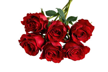 Obraz premium Bouquet of six red roses with water droplets on transparent background